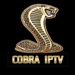 Abonnement COBRA OTT